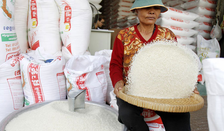 Cambodia earns $280 mln from milled rice export in seven months